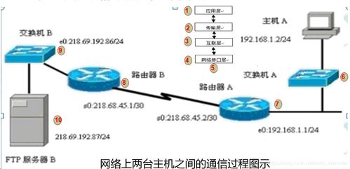 网络技术与网络技术服务的全面解析