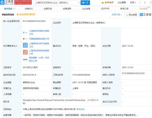 上海网络技术服务 数字浪潮中的创新引擎与未来展望