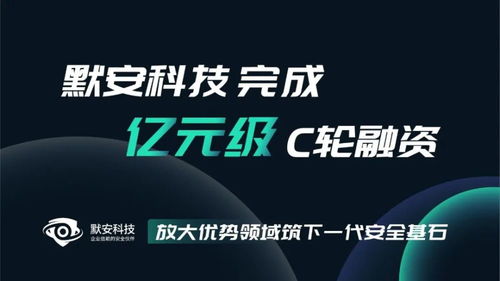 默安科技完成亿元级C轮融资，以技术创新筑下一代安全基石，引领上海网络服务新浪潮