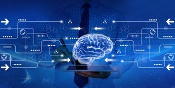 互联网思维赋能 上海网络技术服务调节医疗大环境“冷热度”